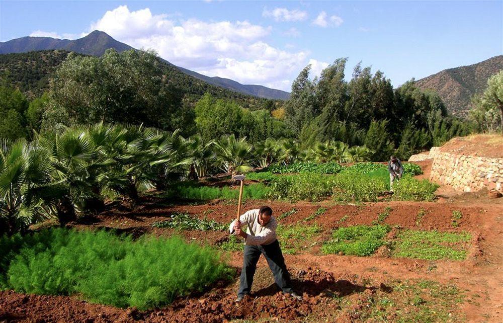 Domaine Malika Hotel Moulay Brahim Buitenkant foto